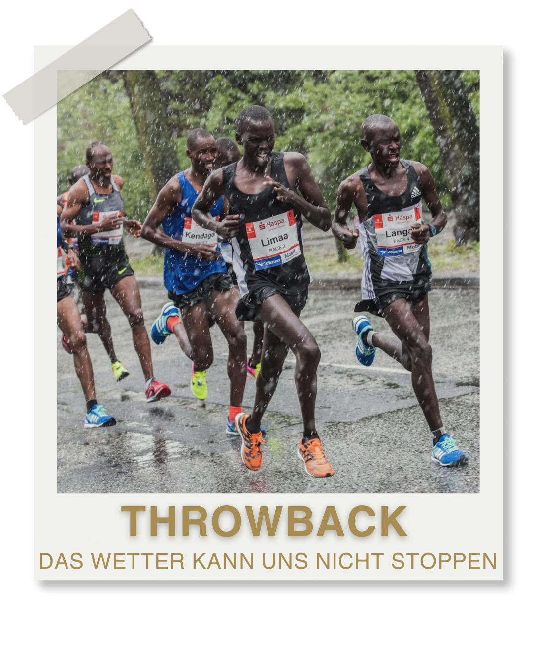 Throwback: Wetter
